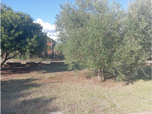 Villa in Via Riserva della Bandita - Foto 16