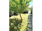 Borgo San Lorenzo (pressi) - Terratetto con giardino