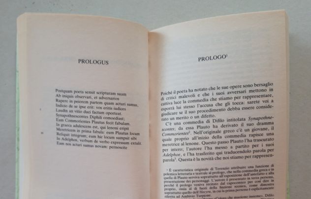 TERENZIO - I fratelli - Foto 8