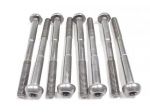 SET BULLONI CILINDRI TRIUMPH SCRAMBLER 900 2006 - 2017 T1162010 CYLINDER BOLTS