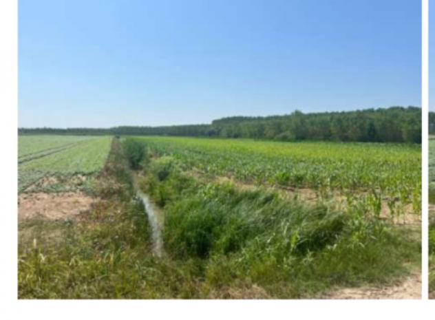 Immobile in asta di 21 m² in vendita a Villimpenta - Foto 2