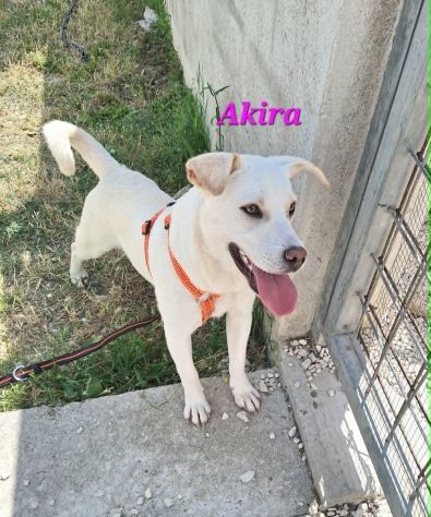 Mi porti nella tua vita? non te ne pentirai - Foto 2