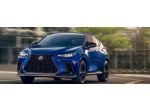 LEXUS 350h Hybrid Business NX 2ª serie rif. 23759732