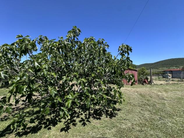 A POCHI MINUTI DAL CENTRO DI BAGNO DI GAVORRANO BELLISSIMA CASA IN CAMPAGNA - Foto 10