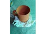 tazza