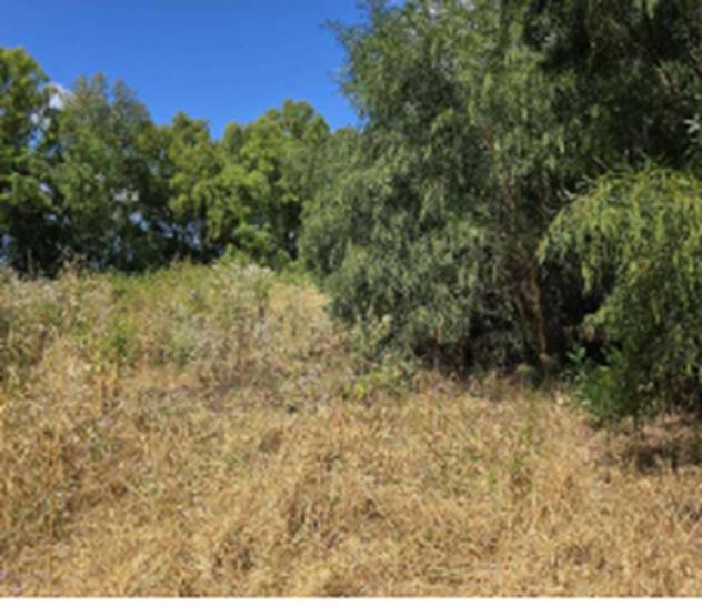 Immobile in asta di 151 m² con più di 5 locali in vendita a Oristano - Foto 9