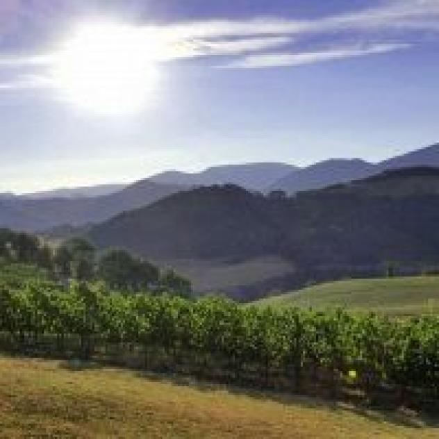 Ca' Le Suore S.r.l. - Foto 3