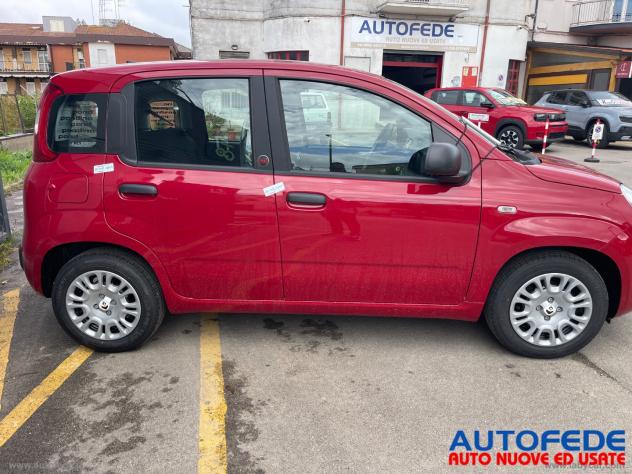 FIAT Pandina 1.0 Hybrid 65 CV Van Icon - Foto 2