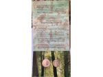 ITALIA dittico argento FLORA E FAUNA 1991