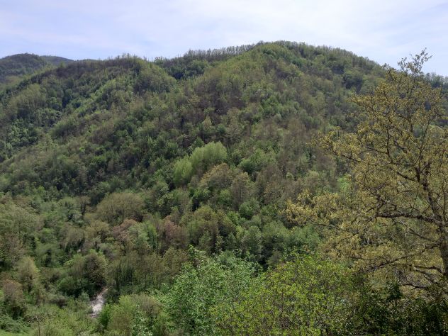 Bardine ms casa su piu' livelli di ampia metratura vista panoramica - Foto 6