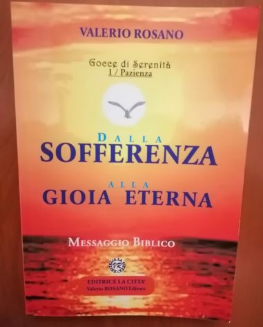 Dalla Sofferenza alla Gioia Eterna - di Valerio Rosano - Vol 1 La Pazienza