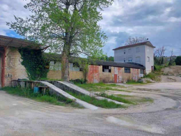 Immobile in asta di 17000 m² in vendita a Ari - Foto 3