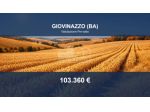 Immobile in asta di 9909 m² in vendita a Giovinazzo