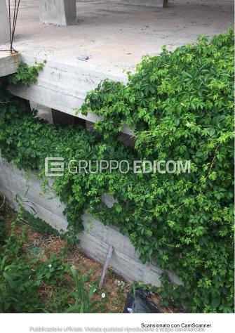 Fabbricato di 693 mq in vendita a Monasterace - Rif. 4542493 - Foto 5