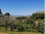 Casa singola in vendita a Massa 40 mq  Rif: 1277599