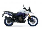 Suzuki V Strom DL 800 DE - RATE DA € 104,50 CON MAXI RATA FINALE E SENZA AN &hellip;