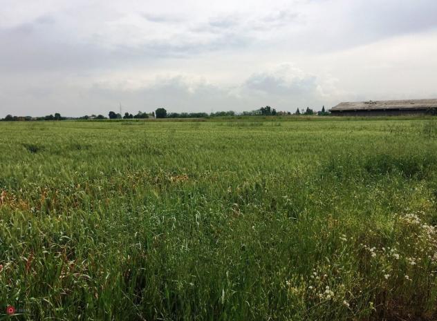 Terreno agricolo in Vendita in Via Cavata 245 a Carpi