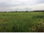 Terreno agricolo in Vendita in Via Cavata 245 a Carpi