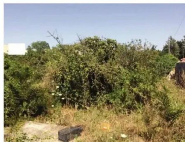 Immobile in asta di 69015 m² in vendita a Sassari - Foto 6
