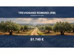 Immobile in asta di 114275 m² in vendita a Trevignano Romano