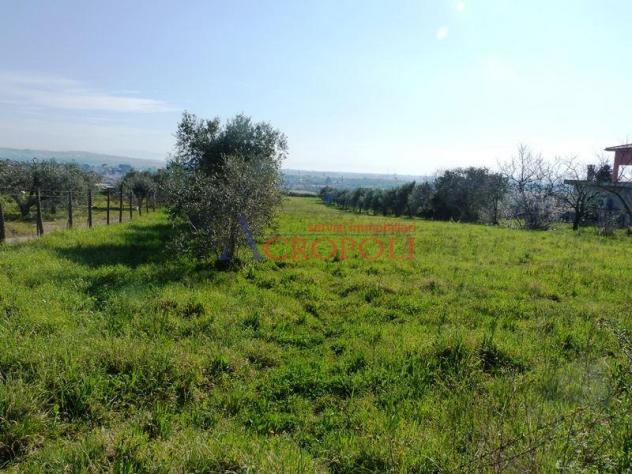 Terreno Edificabile - Rif. 2489 - Foto 5