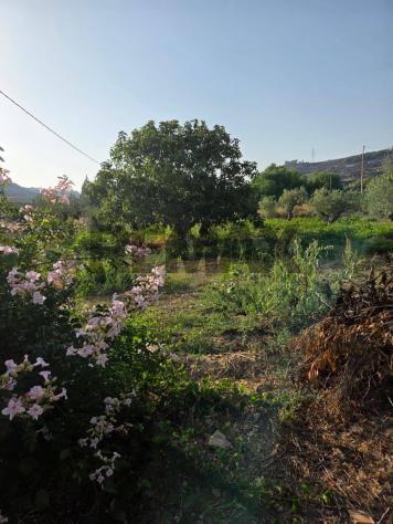Terreno in vendita a Caltagirone - Foto 6