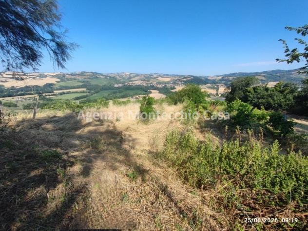 Azienda agricola con casa fienile e 26 ettari circa di terreno agricolo - Foto 8