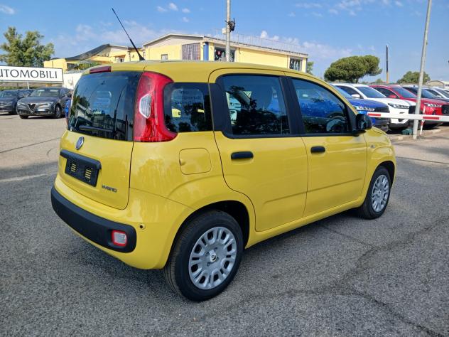 Fiat Panda 1.0 FireFly S&S Hybrid Pandina - Foto 5