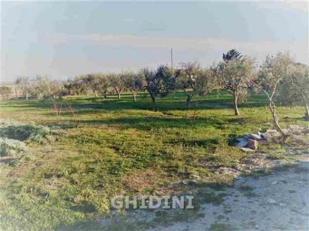 VILLA di 4 vani e di 60 mq (GROSSETO - POGGIALE) rif. 2043.176M - Foto 10
