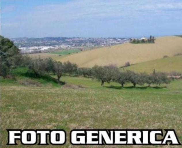 Terreno agricolo in vendita a San Frediano a Settimo - Cascina 8510 mq  Rif: 1285133