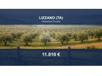 Immobile in asta di 10000 m² in vendita a Lizzano