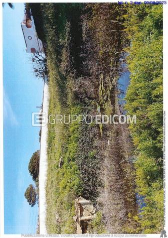 Terreno di 4106 mq in vendita a Santa Marinella - Rif. 4554491 - Foto 6