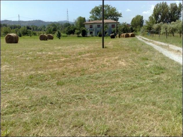 Terreno agricolo in vendita a Sarzana 5000 mq Rif: 1123247 - Foto 3