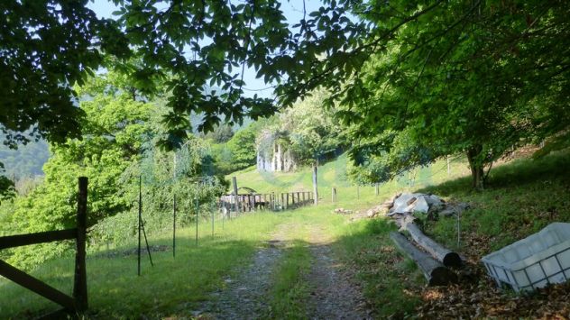Rudere con terreno a Brissago Valtravaglia
