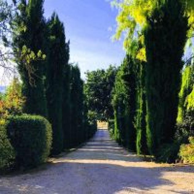 Podere Fontegallo