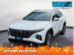 HYUNDAI Tucson 1.6 CRDI 48V XLine rif. 23683984