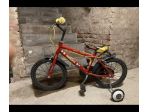 Meccanico tecnico ripara biciclette