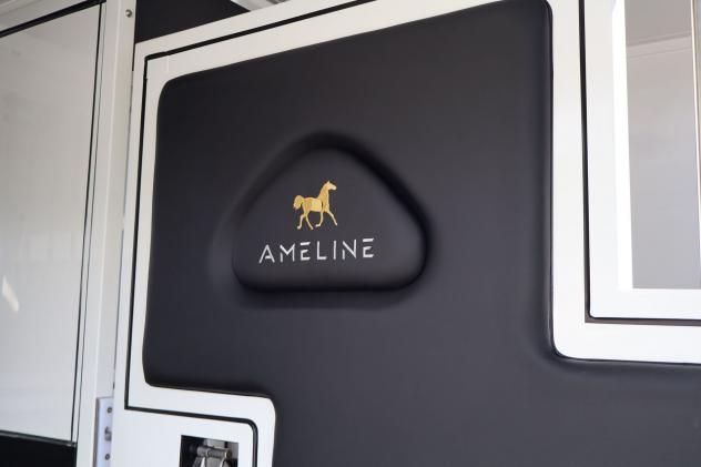 Renault Master Master 2.0 TD 170 CV Haras - Allestimento Stalloni - 5 posti - Foto 10