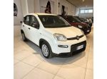 FIAT Panda 1.0 FireFly S&S Hybrid rif. 23436734