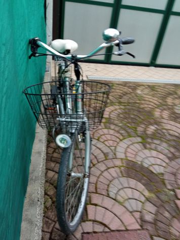 Bici da donna Vicini - Foto 3