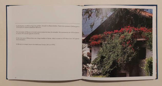 Alto Adige Merano, SudTirol Meran di Siegfried Wenter Ed.Tappeiner, 1984 perfett - Foto 5