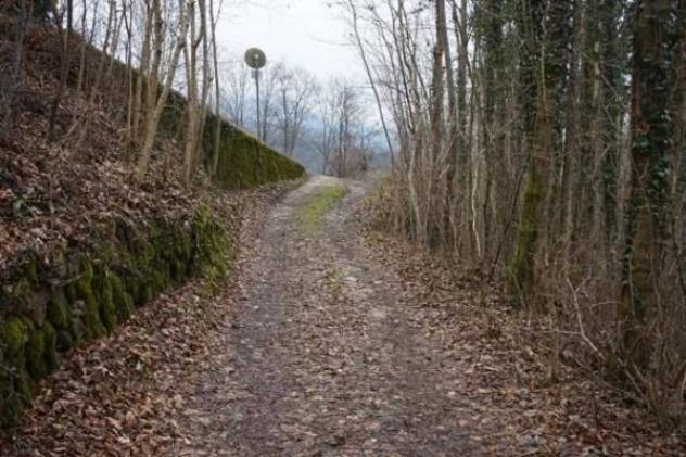 Immobile in asta di 6196 m² in vendita a Valli del Pasubio - Foto 10