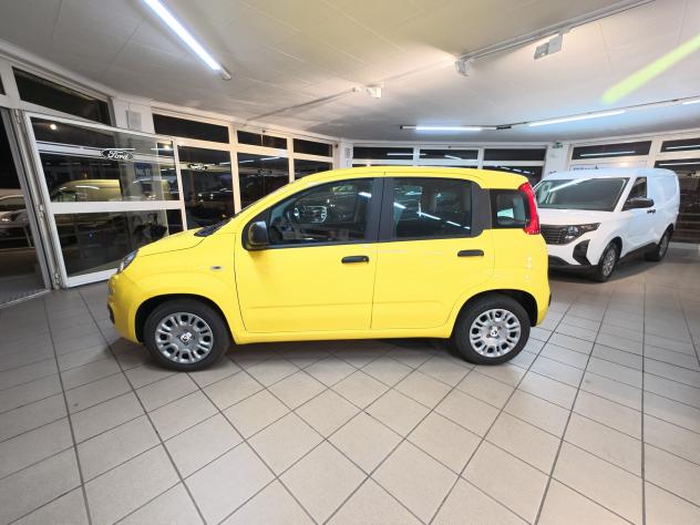 FIAT Panda 3ª serie 1.0 FireFly S&S Hybrid - Foto 7