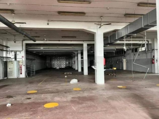 Immobile in asta di 1201 m² in vendita a Presicce-Acquarica - Foto 11