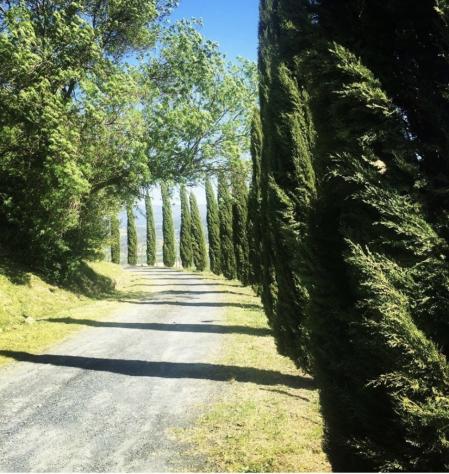Terratetto in vendita a Guardistallo - Foto 4