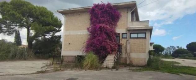 Immobile in asta di 199 m² con più di 5 locali in vendita a Martinsicuro - Foto 13