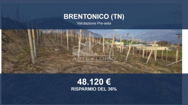 Immobile in asta di 25489 m² in vendita a Brentonico