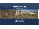 Immobile in asta di 25489 m² in vendita a Brentonico