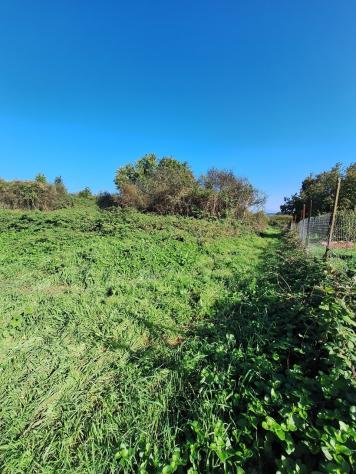Agricolo in vendita a Morlupo