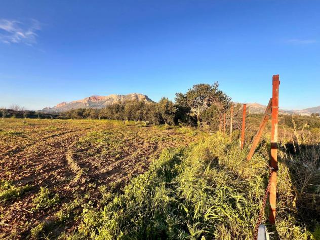 Terreno in vendita a Partinico - Foto 2